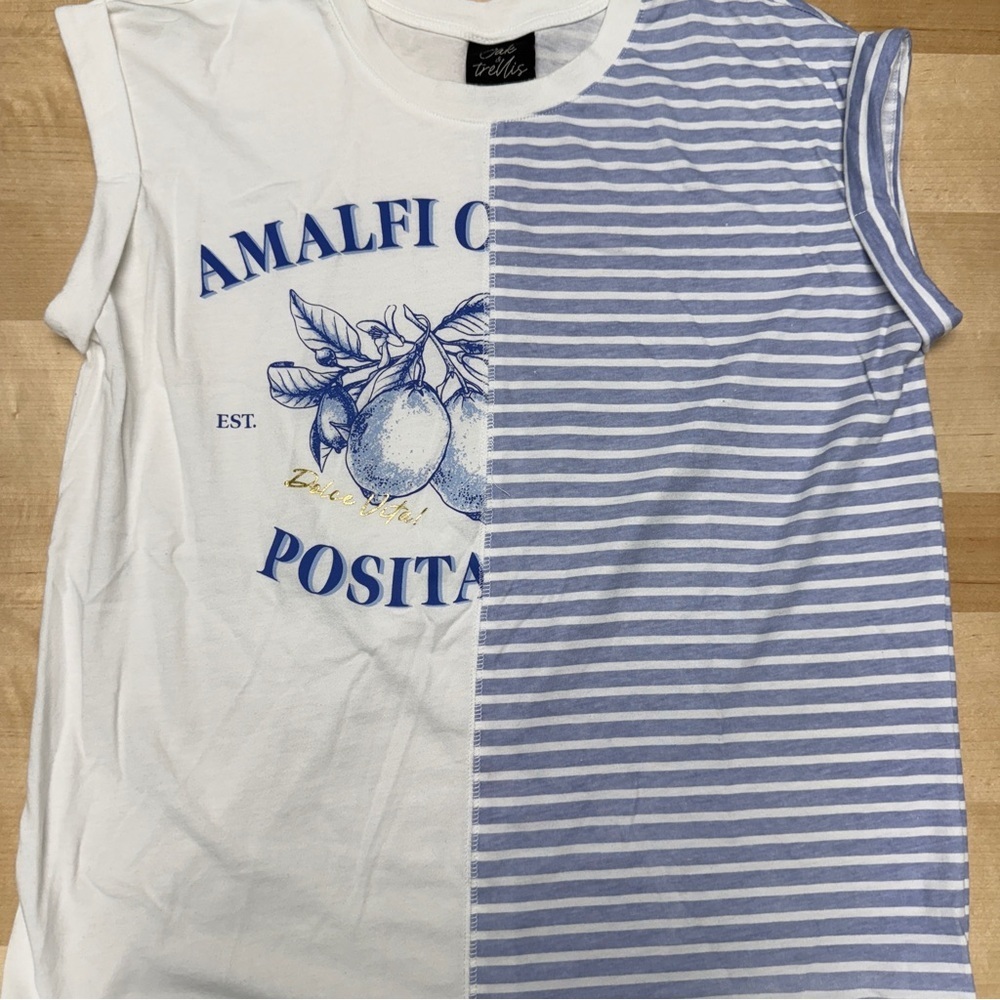 OAK & Trellis White and Blue Split Striped Shirt Lemons Gold accents